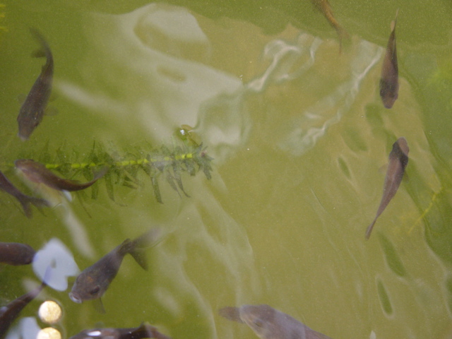 P1010134.JPG