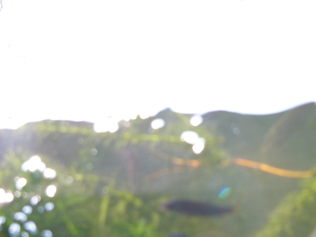 P1010144.JPG