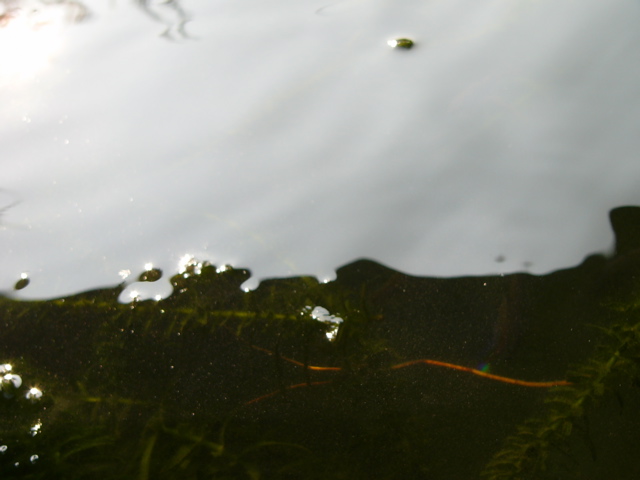 P1010145.JPG