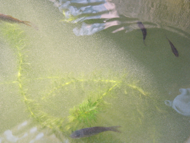 P1010147.JPG