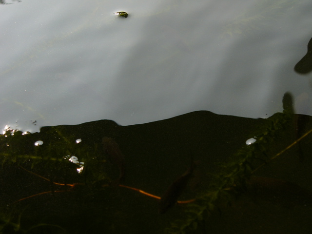 P1010152.JPG