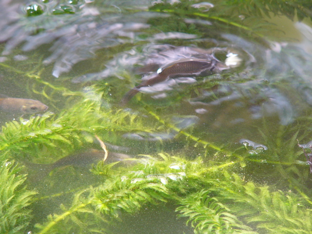 P1010157.JPG
