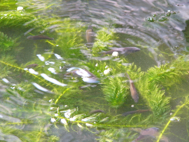 P1010161.JPG