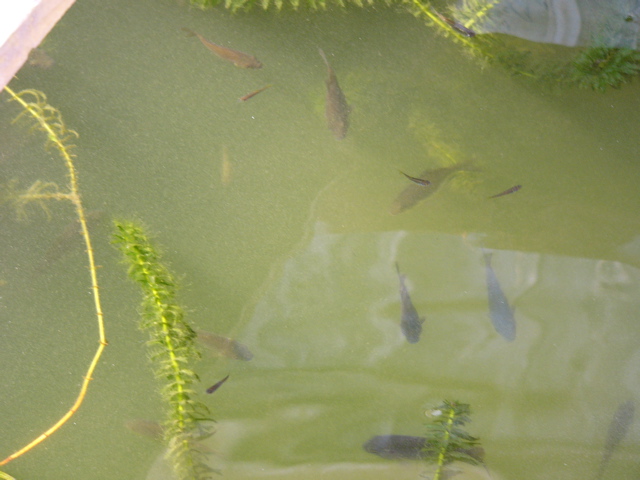 P1010164.JPG