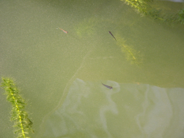 P1010165.JPG