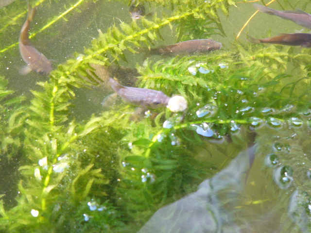 P1010167.JPG