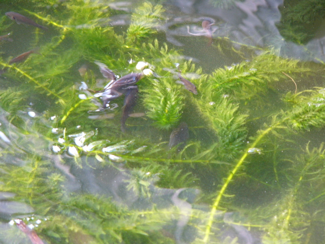 P1010168.JPG