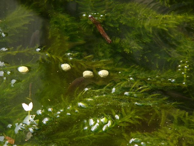 P1010171.JPG