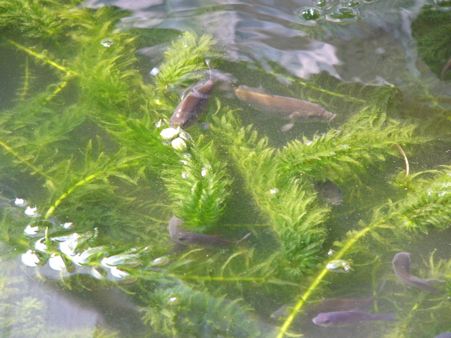 P1010172.JPG