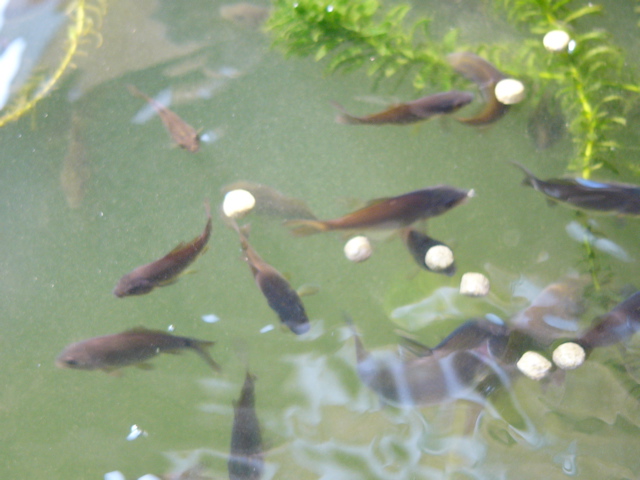 P1010139.JPG