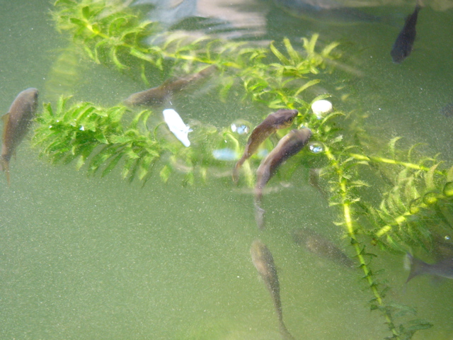 P1010141.JPG
