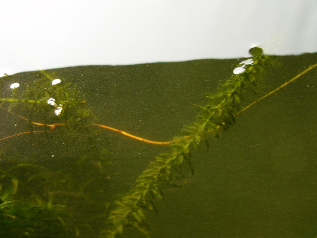P1010142.JPG