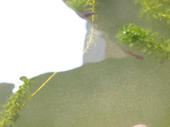 P1010143.JPG