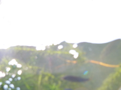P1010144.JPG