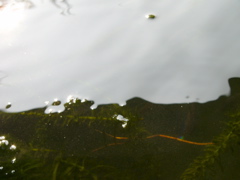 P1010145.JPG