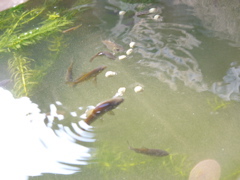 P1010146.JPG