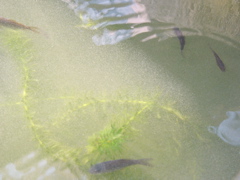 P1010147.JPG