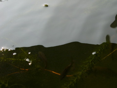 P1010152.JPG