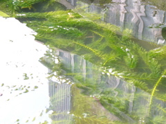 P1010153.JPG