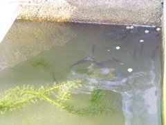 P1010154.JPG
