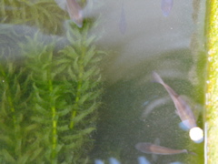 P1010156.JPG