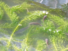 P1010160.JPG