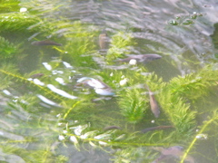 P1010161.JPG