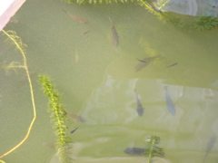 P1010164.JPG