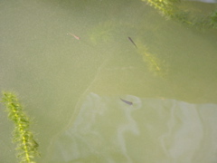 P1010165.JPG