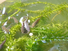 P1010166.JPG