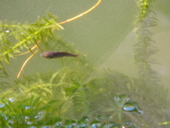 P1010173.JPG