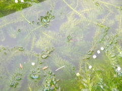 P1010175.JPG