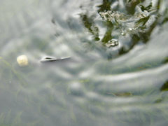 P1010138.JPG