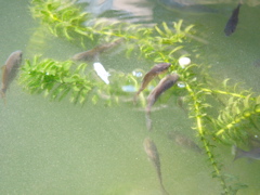 P1010141.JPG