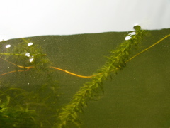P1010142.JPG