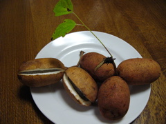 P1010133.JPG