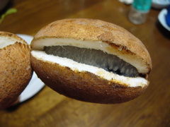 P1010134.JPG