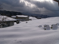 P1010134.JPG