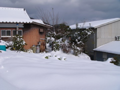 P1010135.JPG