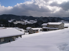 P1010136.JPG
