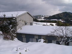 P1010137.JPG