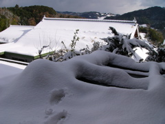 P1010138.JPG