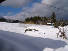 P1010139.JPG