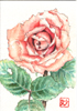 �t��: Postcard