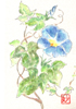 �t�� Postcard