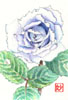 �t�� Postcard