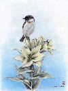 �Ƃ܂�� The Perch
