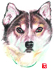 �䂪�Ƃ̈���: Our Lovely Dog