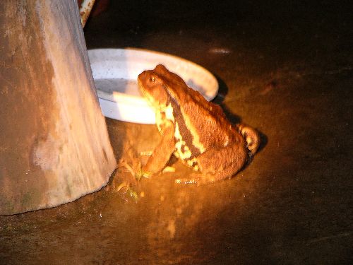�ʂ�