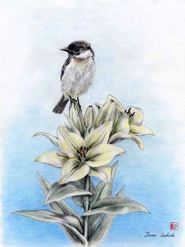 �Ƃ܂�� The Perch